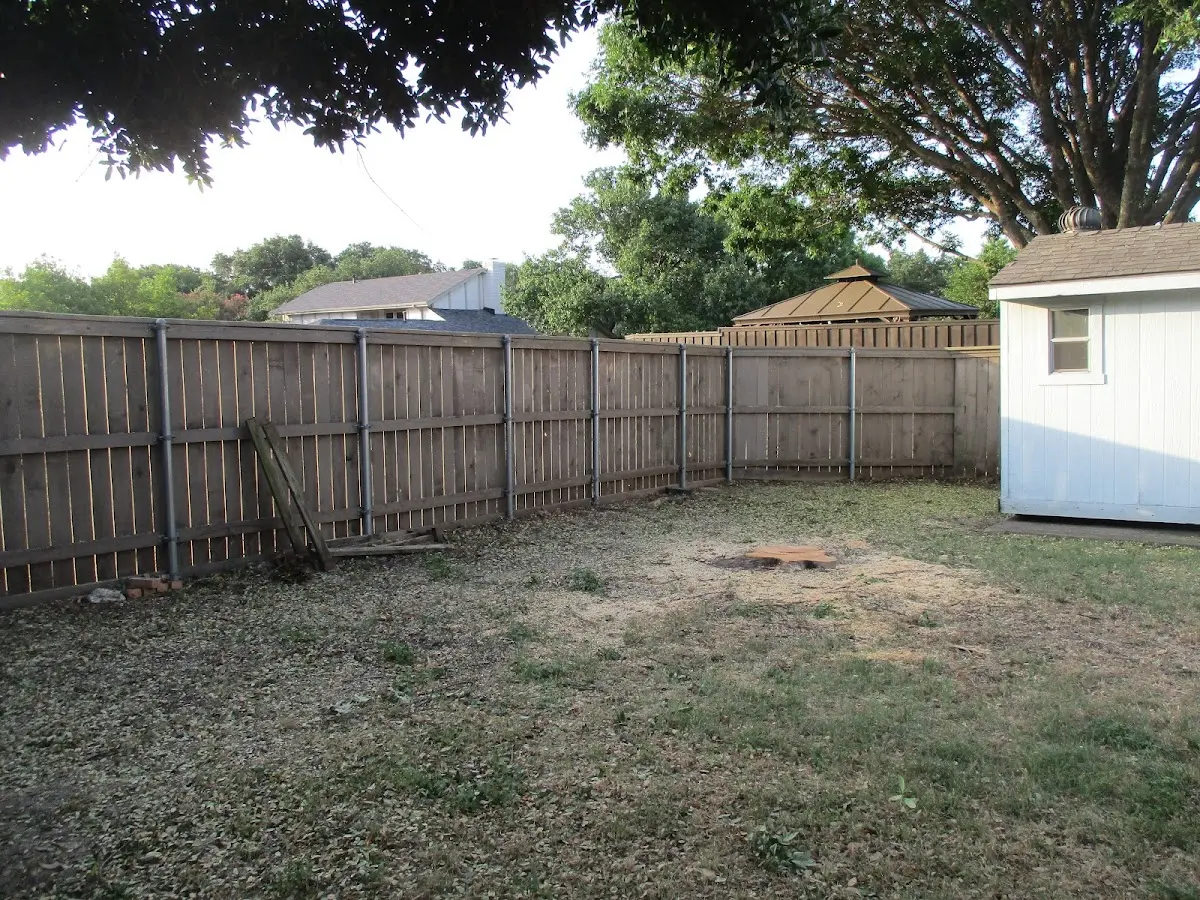 Cleared yard after professional tree removal in South Richmond Hill